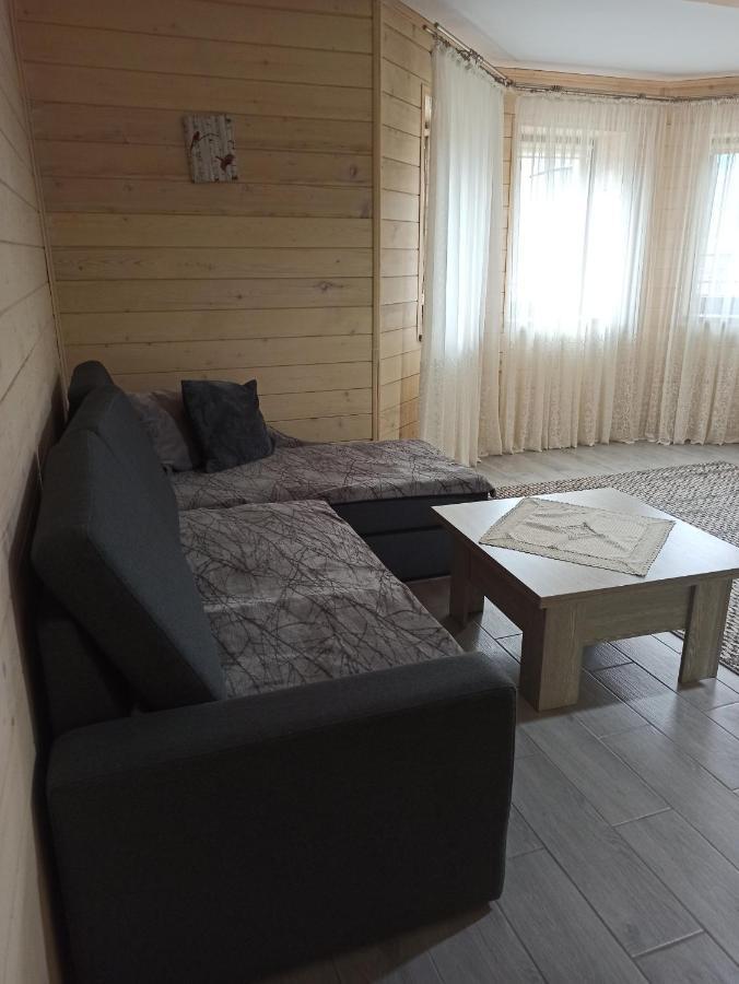 Brand New 2020 Specious Apartment Druzi 2 Palyanytsya Exterior photo