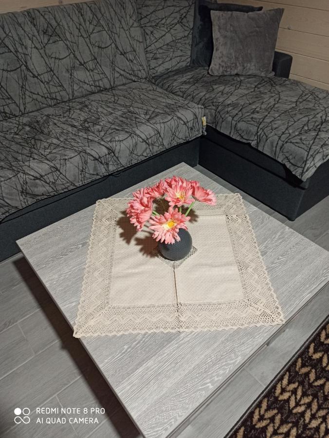 Brand New 2020 Specious Apartment Druzi 2 Palyanytsya Exterior photo